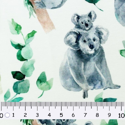 Jersey | Nora | Koala | Eukalyptus weiß